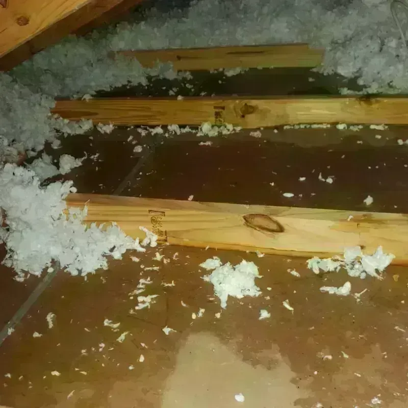 Attic Water Damage in Rankin, TX