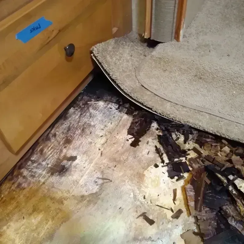 Wood Floor Water Damage in Rankin, TX